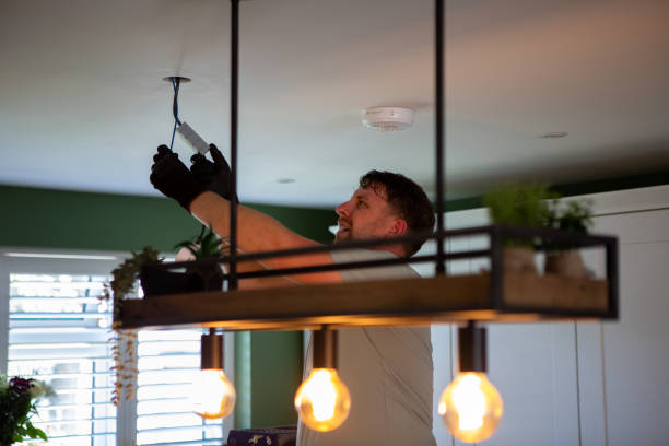 Best Emergency Electrical Repair  in Taylorvle, IL